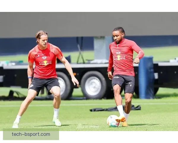 RB莱比锡中场海达拉非洲杯受伤进入脑震荡保护期