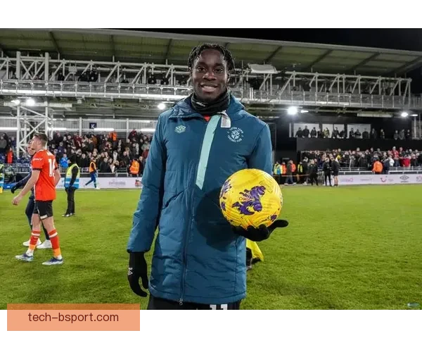 卢顿赛季末遗憾失利降入英冠球迷惋惜